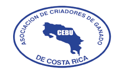 ASOCEBU