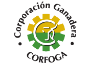 Corfoga